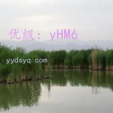 ȷ